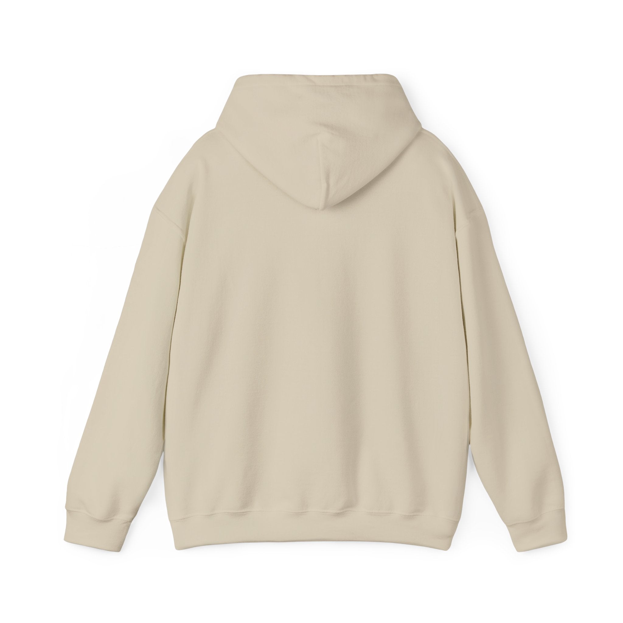 Not Today Fear Hoodie — Inspirational Motivational Pullover
