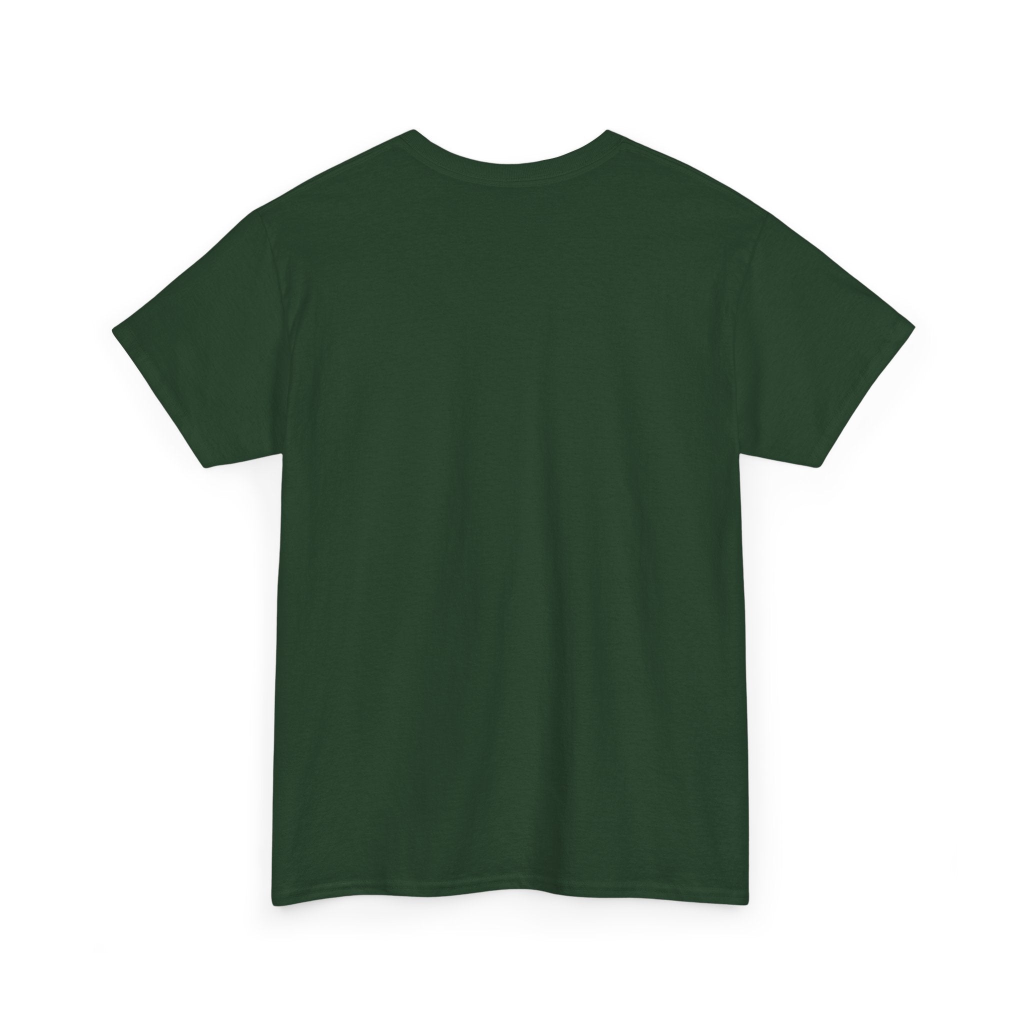 I Attract What I Deserve T-Shirt — Motivational Positive Affirmation Tee