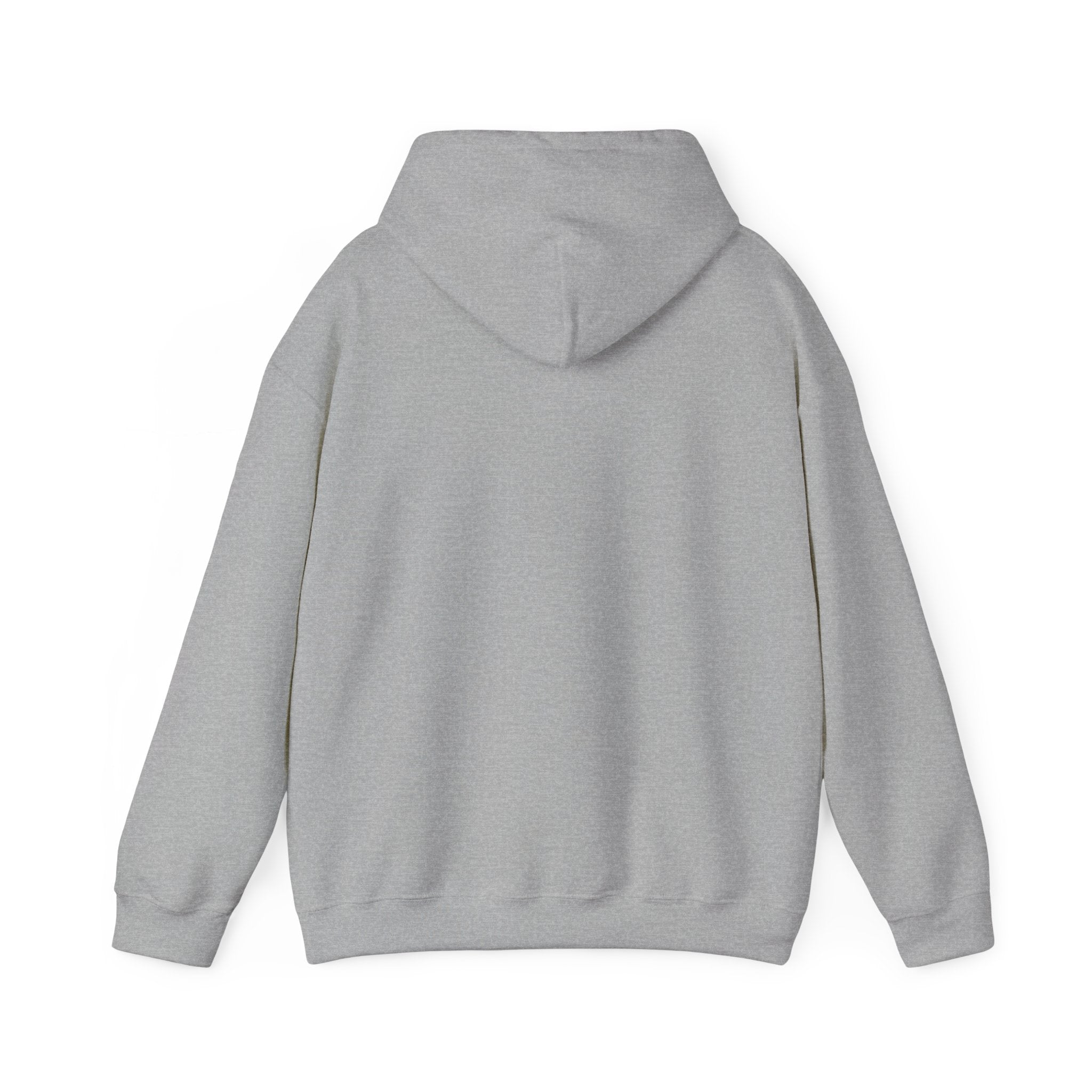 Not Today Fear Hoodie — Inspirational Motivational Pullover