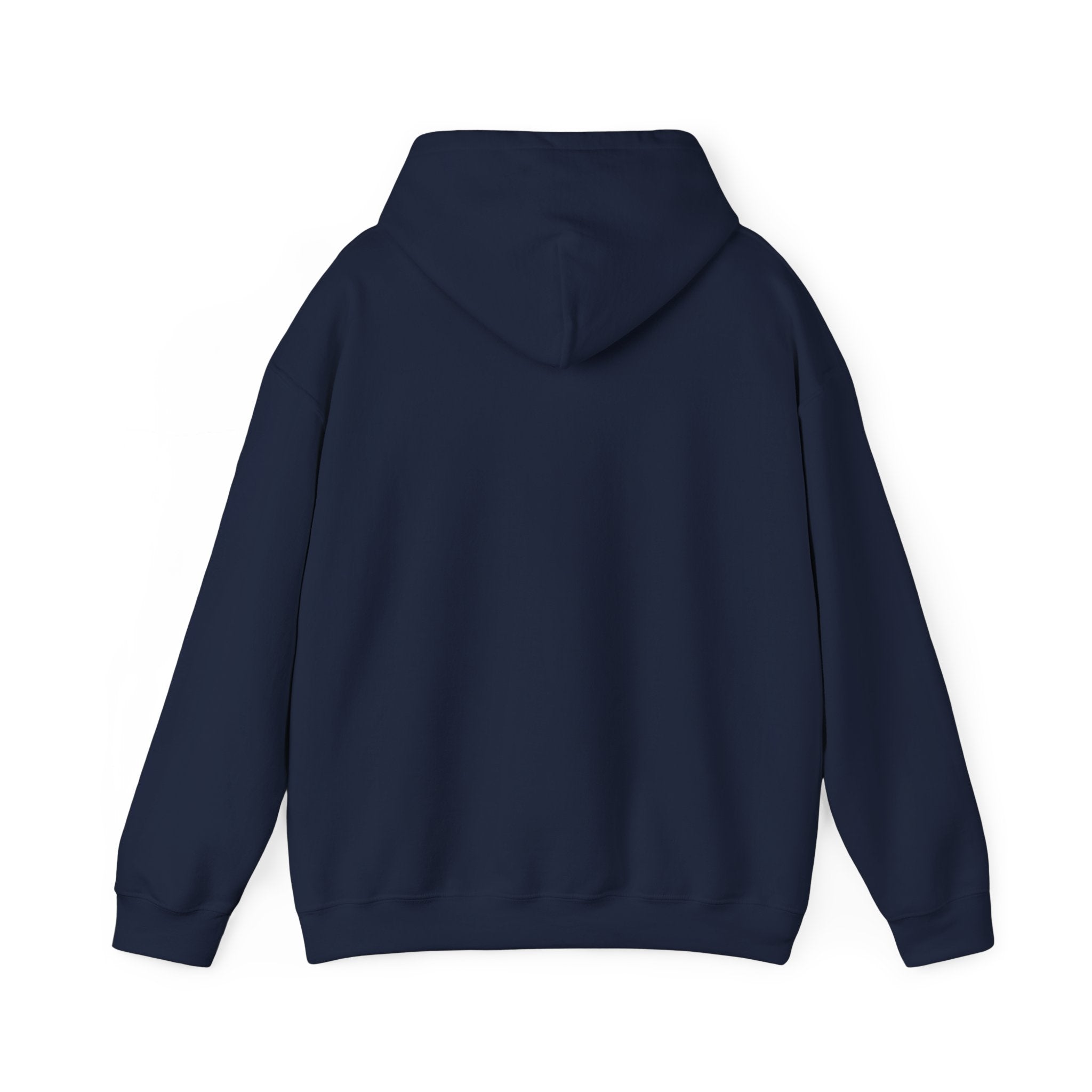 Not Today Fear Hoodie — Inspirational Motivational Pullover