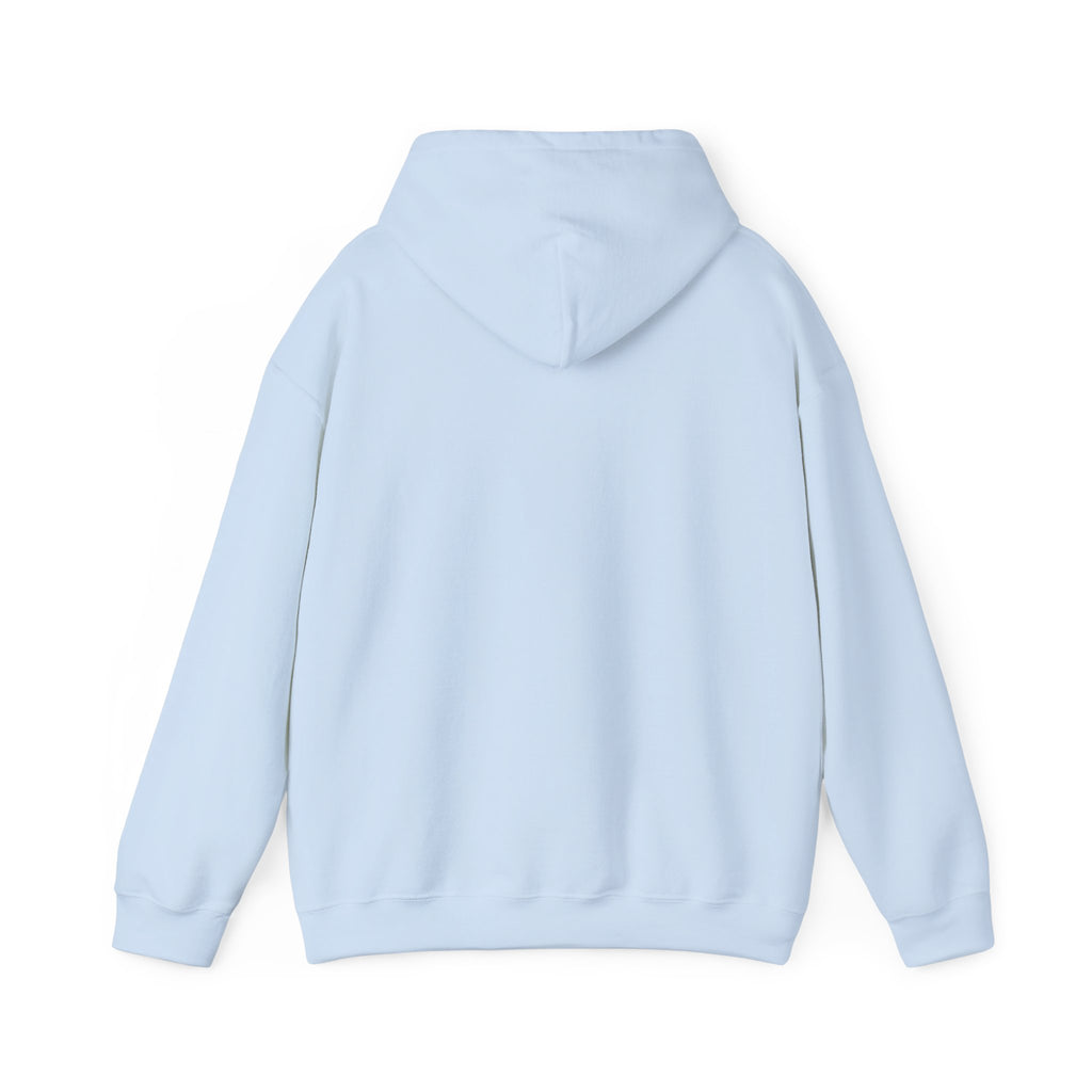 Not Today Fear Hoodie — Inspirational Motivational Pullover