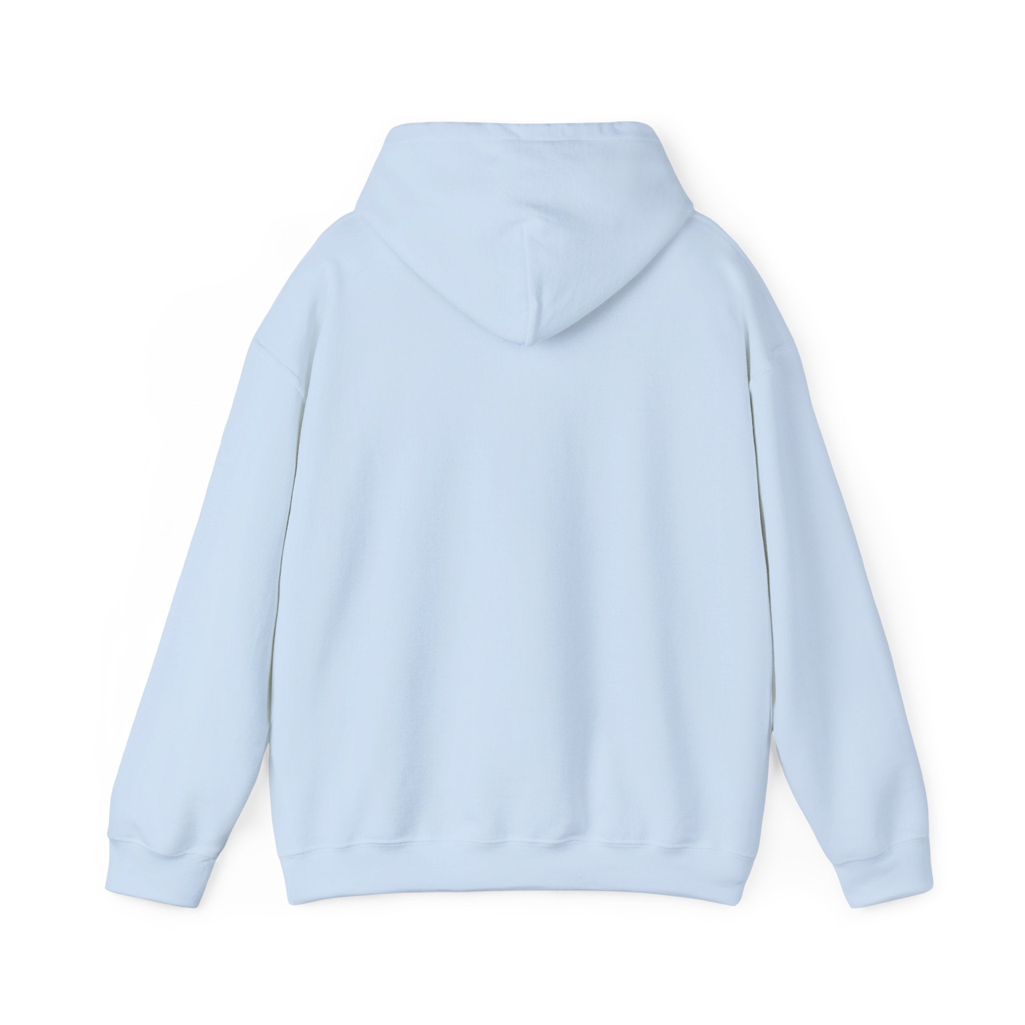 Not Today Fear Hoodie — Inspirational Motivational Pullover