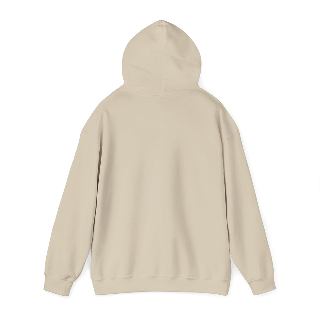 Not Today Fear Hoodie — Inspirational Motivational Pullover