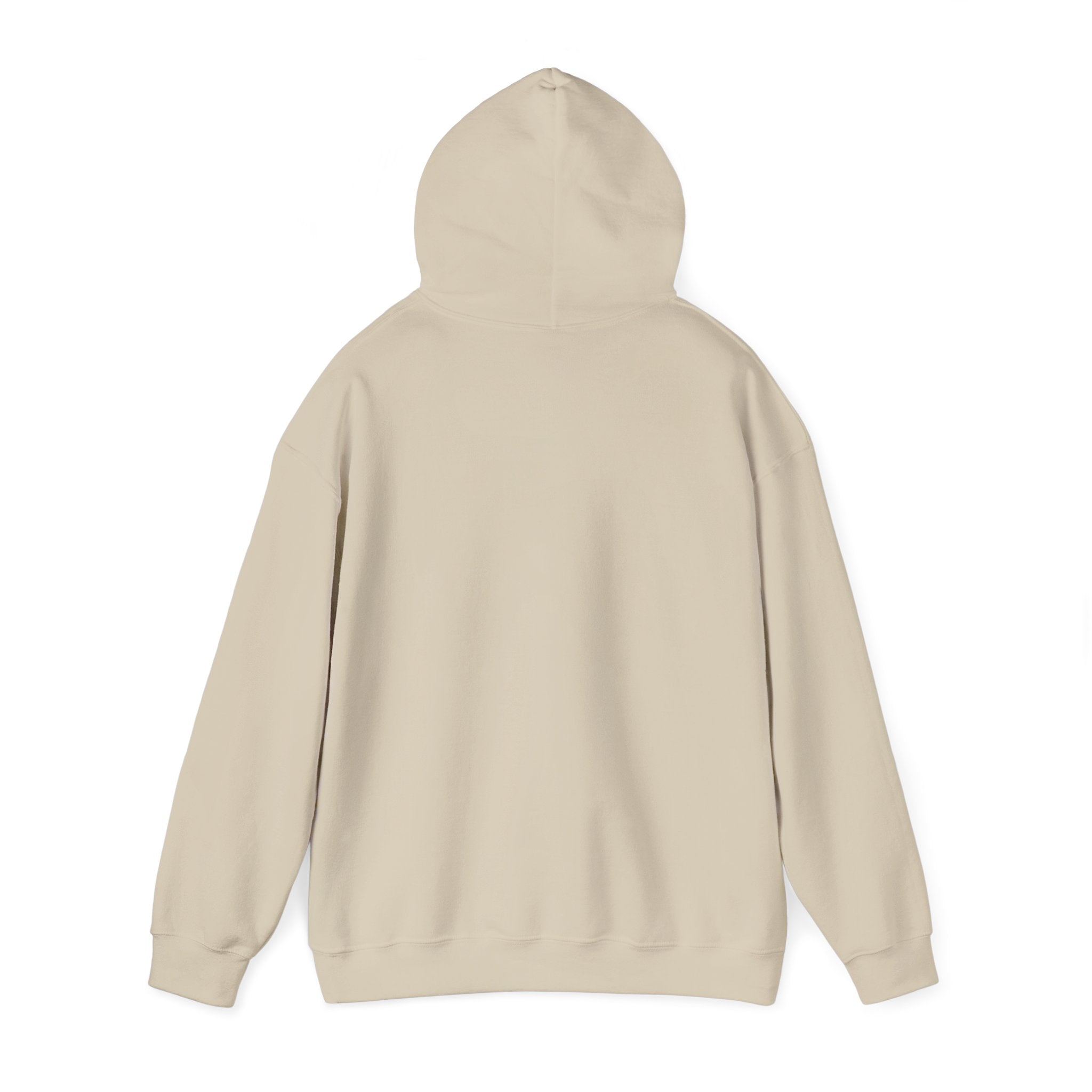 Not Today Fear Hoodie — Inspirational Motivational Pullover