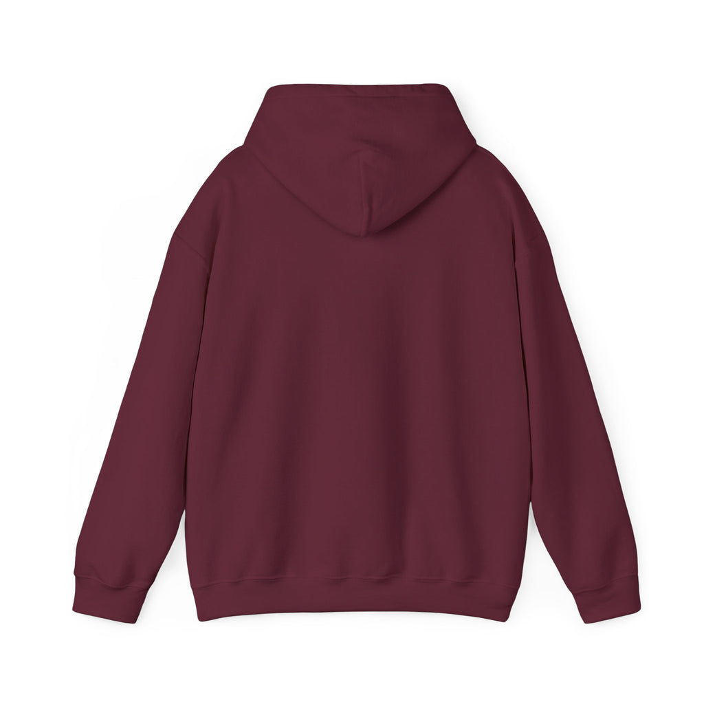 Not Today Fear Hoodie — Inspirational Motivational Pullover