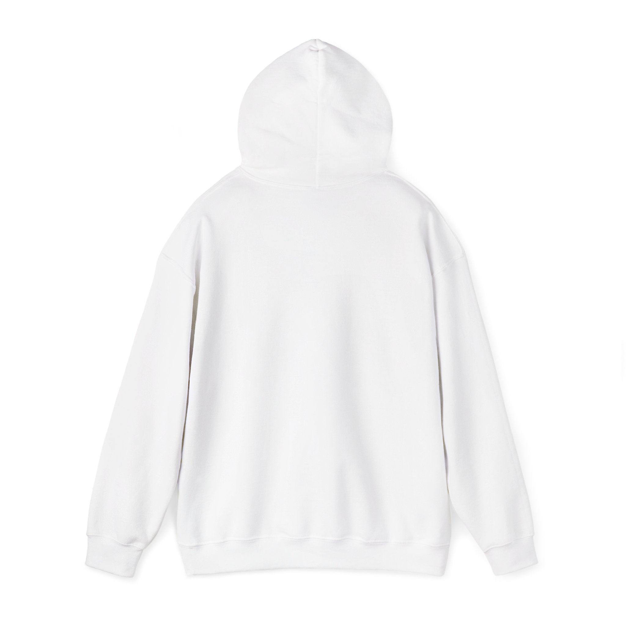 Not Today Fear Hoodie — Inspirational Motivational Pullover