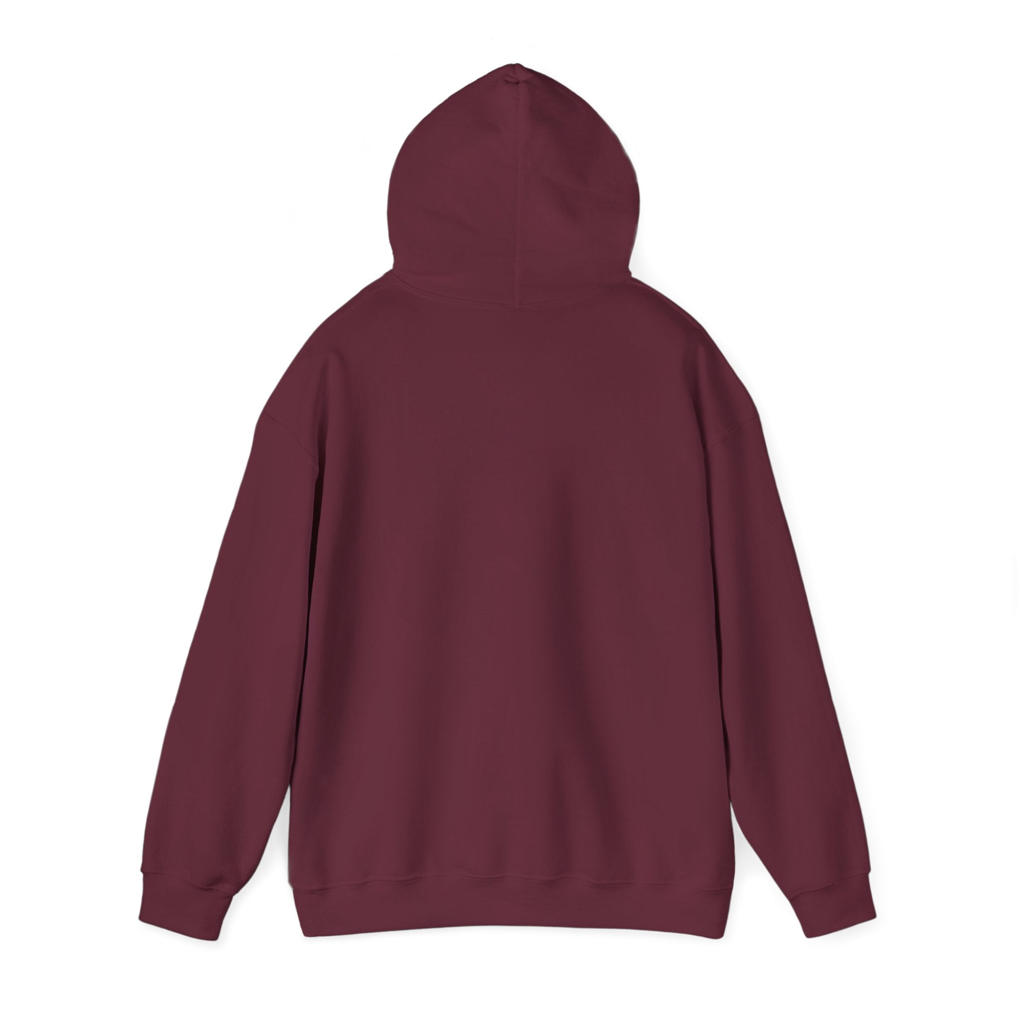 Not Today Fear Hoodie — Inspirational Motivational Pullover