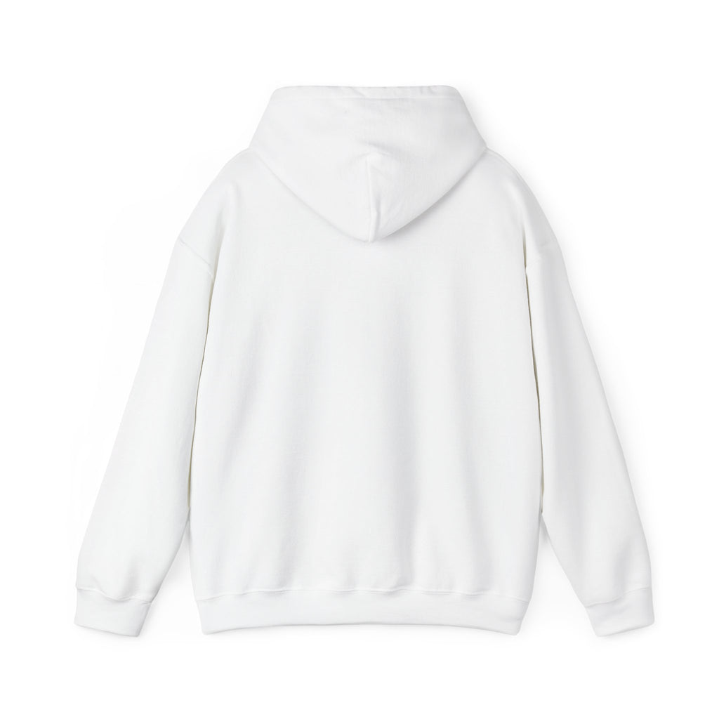 Not Today Fear Hoodie — Inspirational Motivational Pullover