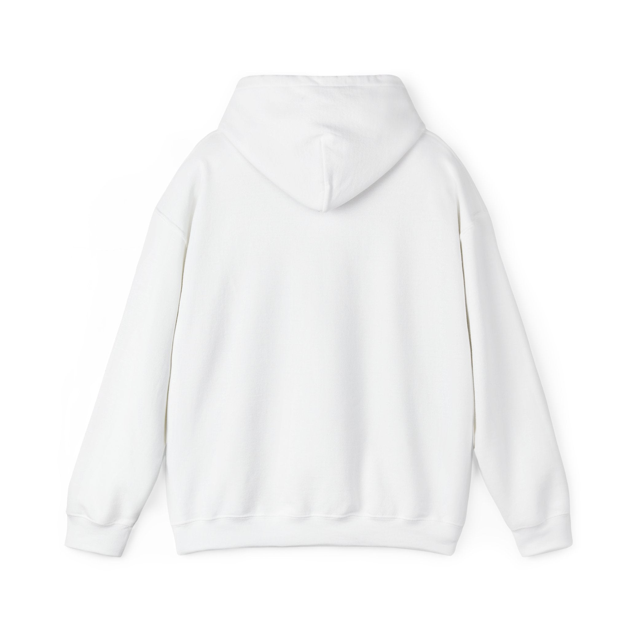 Not Today Fear Hoodie — Inspirational Motivational Pullover