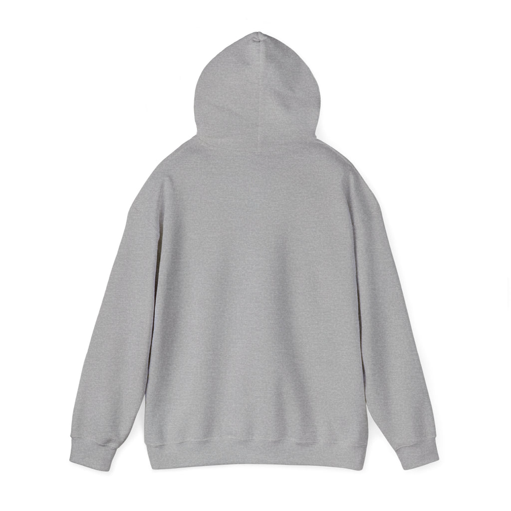 Not Today Fear Hoodie — Inspirational Motivational Pullover