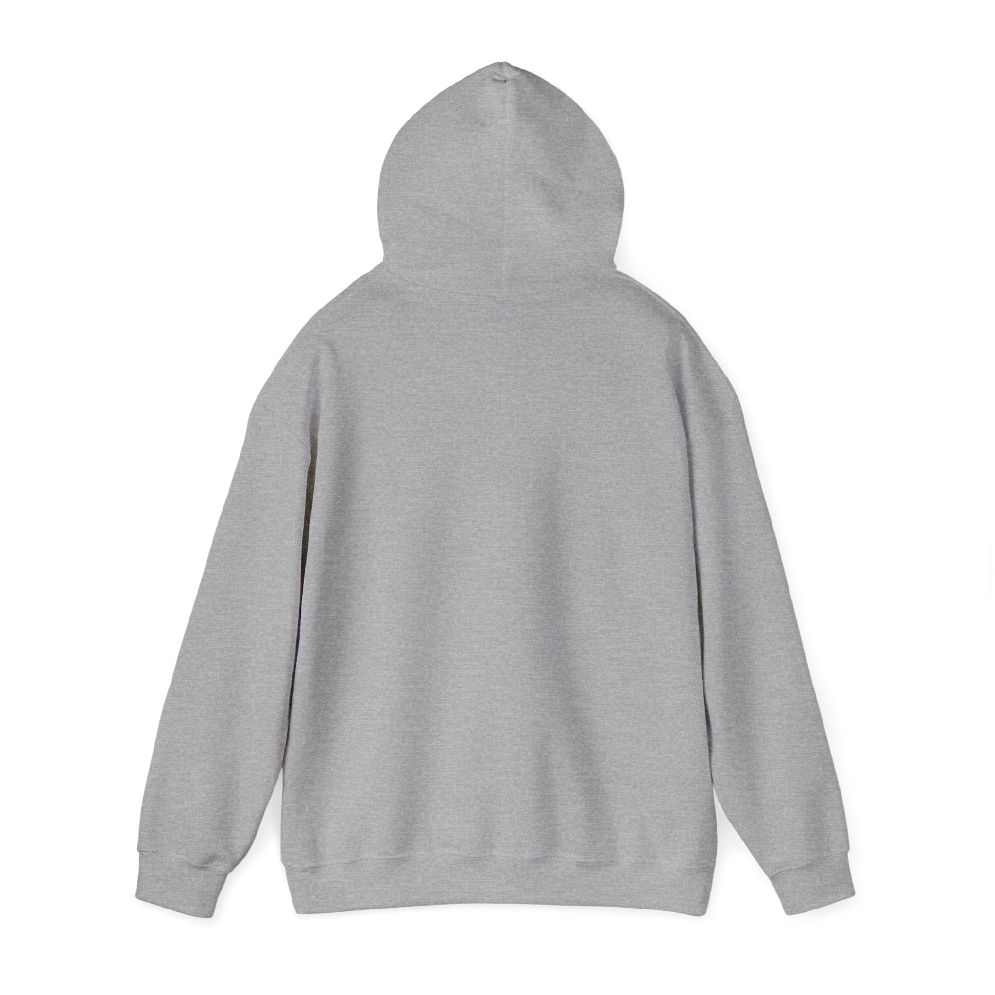 Not Today Fear Hoodie — Inspirational Motivational Pullover