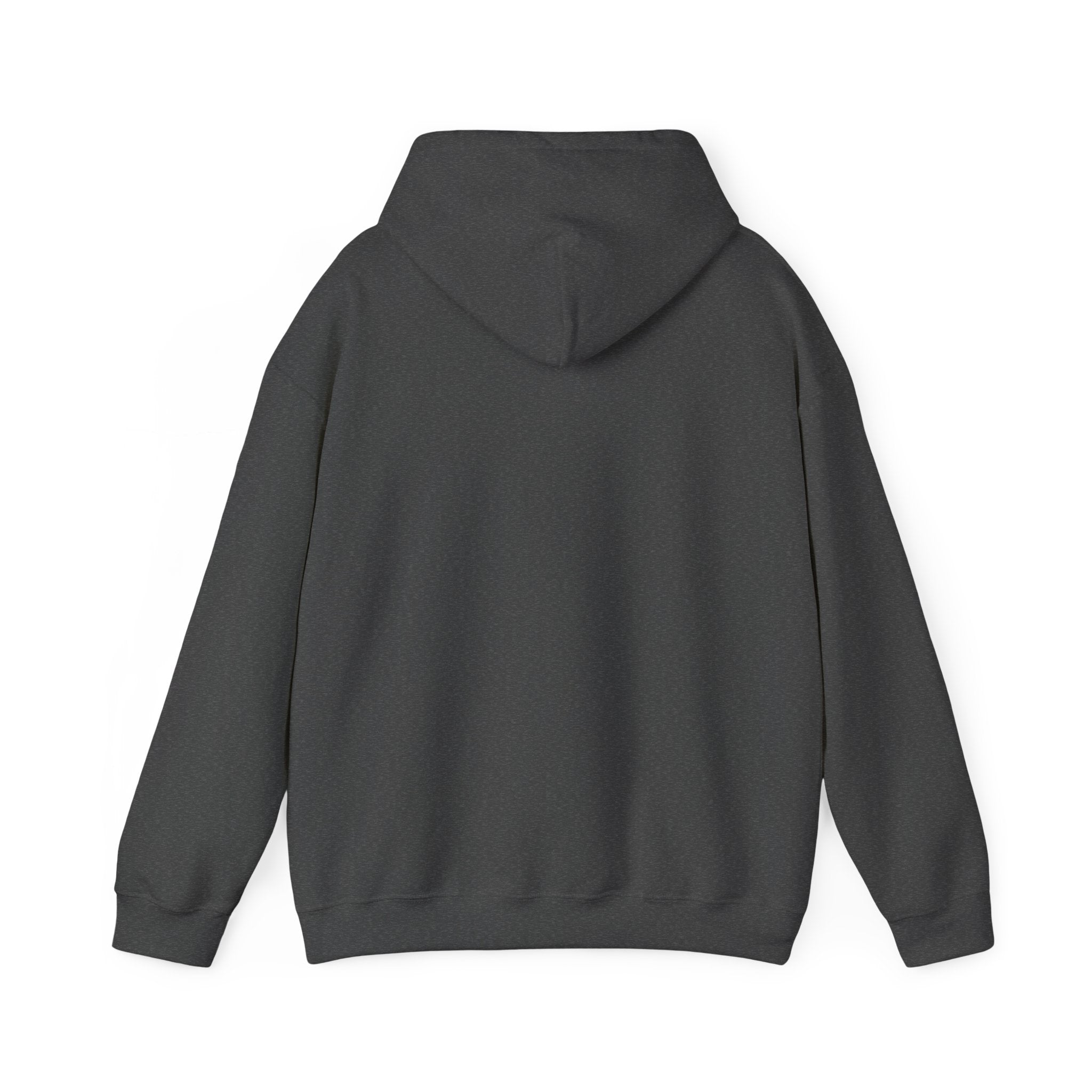 Not Today Fear Hoodie — Inspirational Motivational Pullover