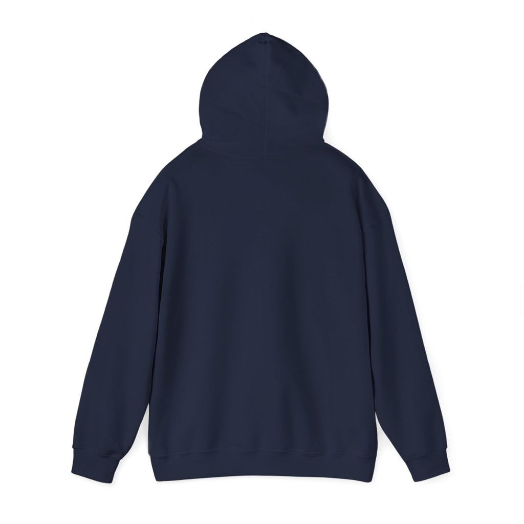Not Today Fear Hoodie — Inspirational Motivational Pullover