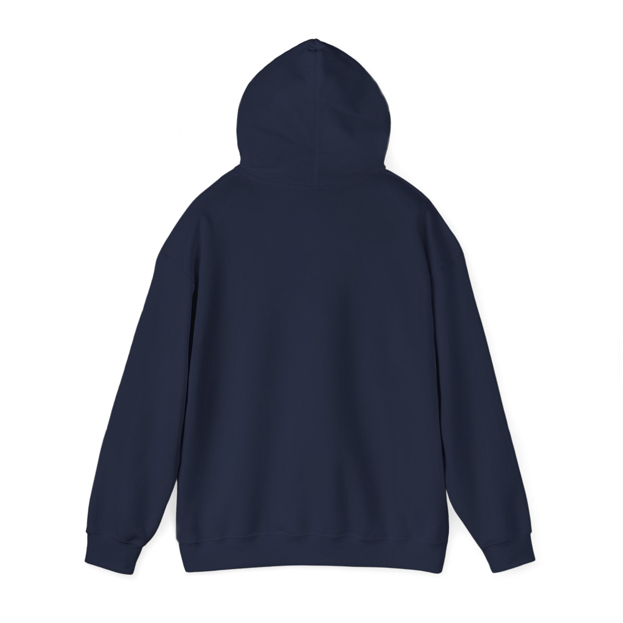 Not Today Fear Hoodie — Inspirational Motivational Pullover