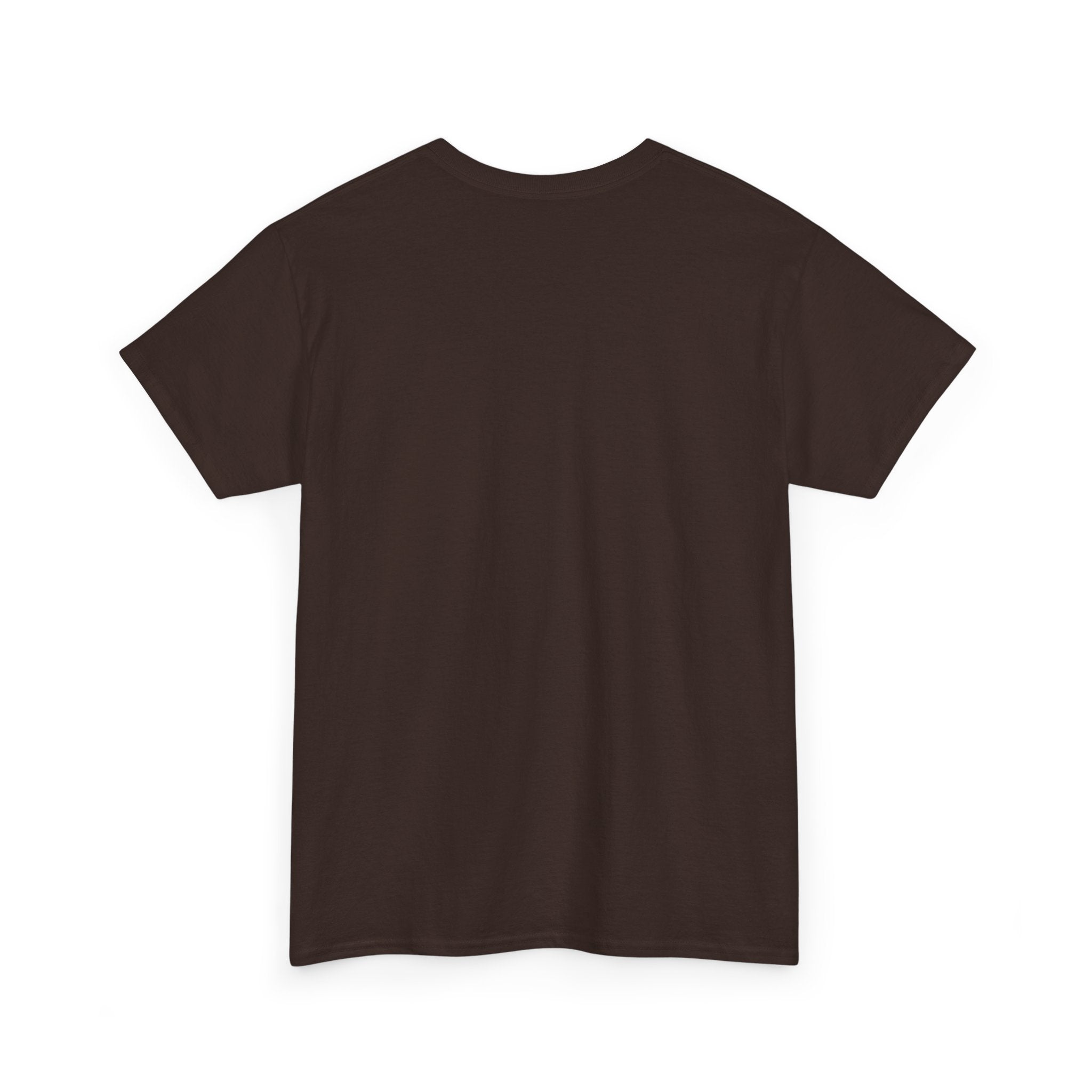 I Attract What I Deserve T-Shirt — Motivational Positive Affirmation Tee