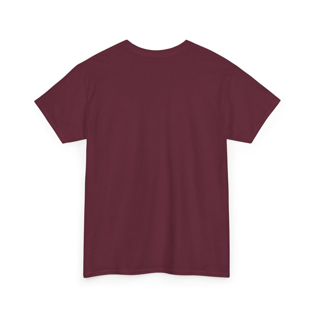 I Attract What I Deserve T-Shirt — Motivational Positive Affirmation Tee