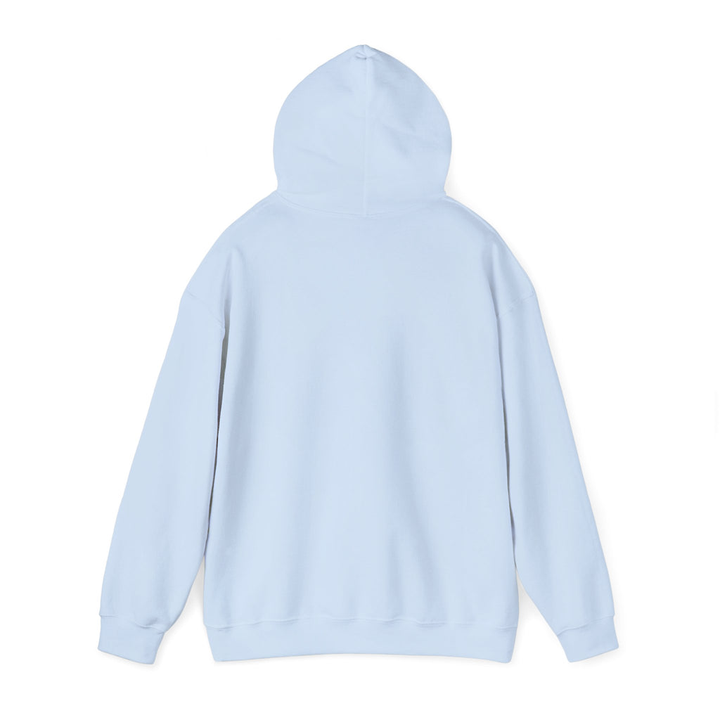 Not Today Fear Hoodie — Inspirational Motivational Pullover
