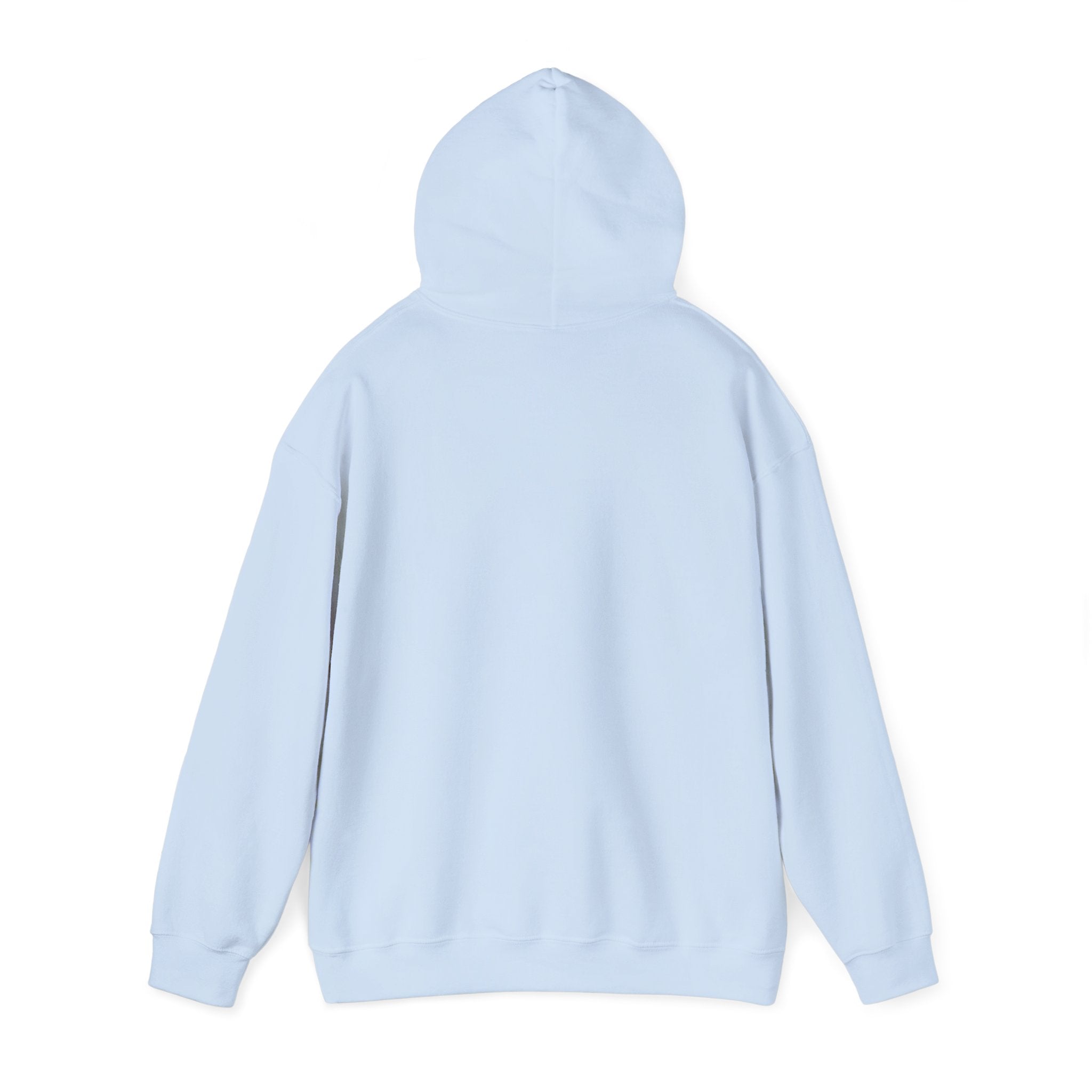 Not Today Fear Hoodie — Inspirational Motivational Pullover