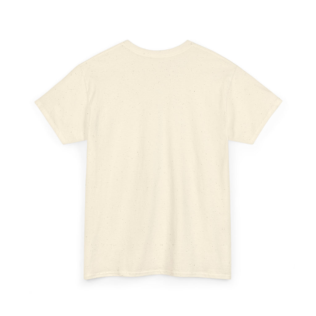 I Attract What I Deserve T-Shirt — Motivational Positive Affirmation Tee