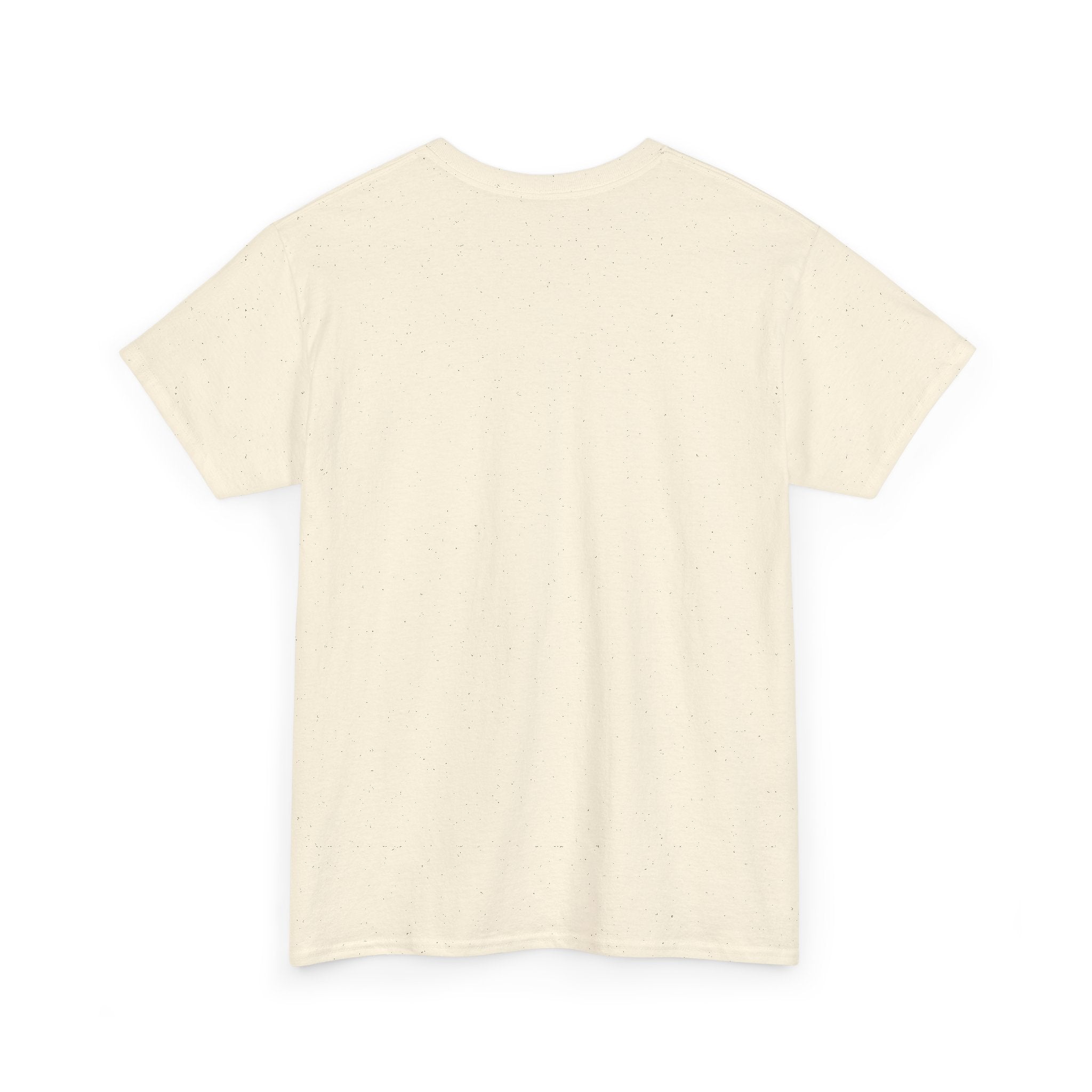 I Attract What I Deserve T-Shirt — Motivational Positive Affirmation Tee