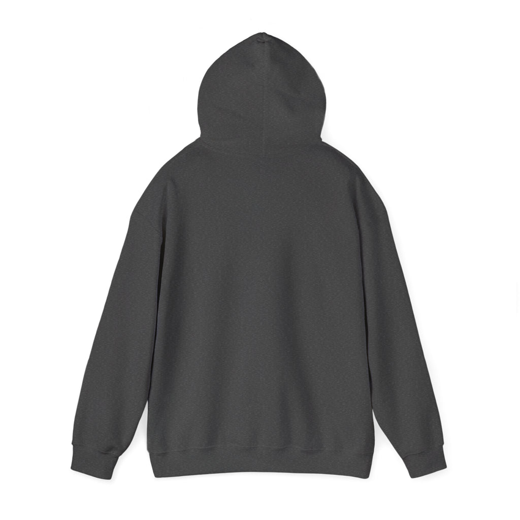 Not Today Fear Hoodie — Inspirational Motivational Pullover