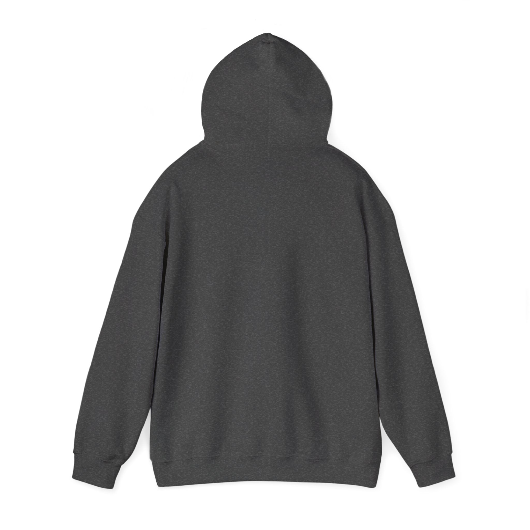 Not Today Fear Hoodie — Inspirational Motivational Pullover